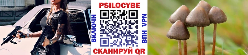 Купить  Буй  Псилоцибиновые грибы прущие грибы 